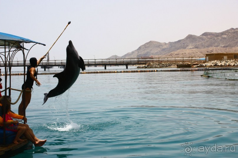 Как интересно провести время в Эйлате