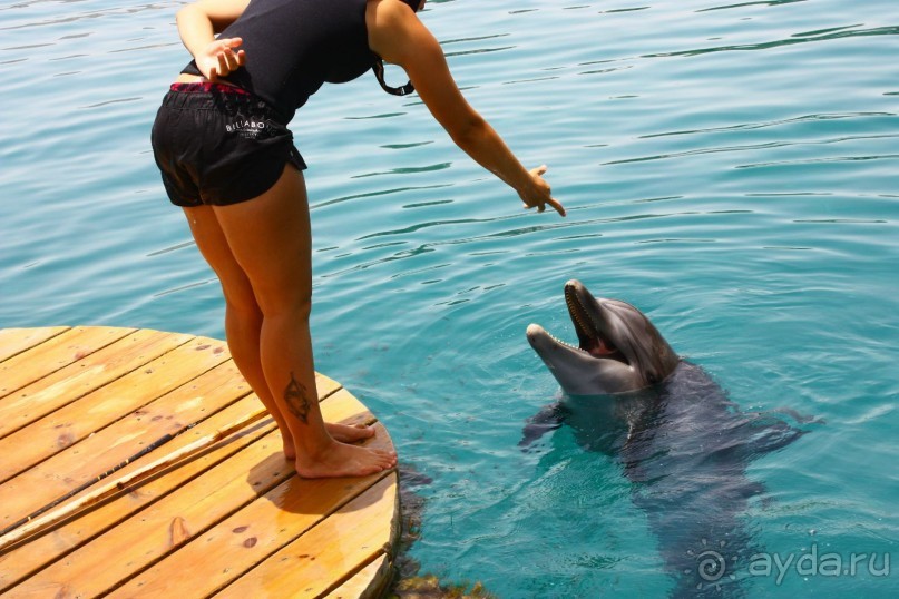 Как интересно провести время в Эйлате