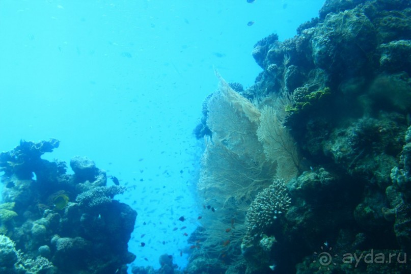 Как интересно провести время в Эйлате