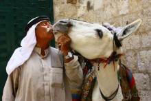 Русский Иерусалим и Вифлеем