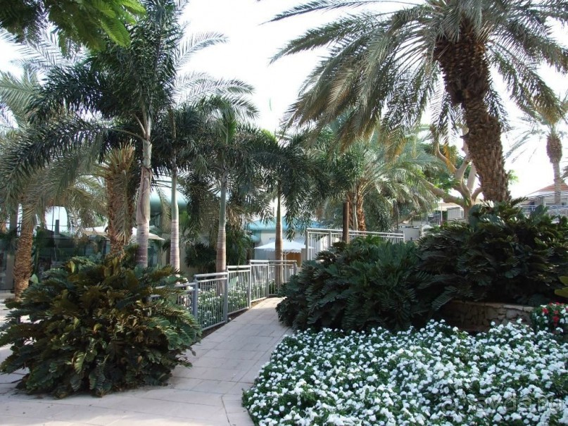 Отель для тишины и покоя