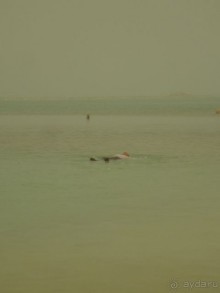 Если Вы любите большие отели, Вам в Le Meridien! 