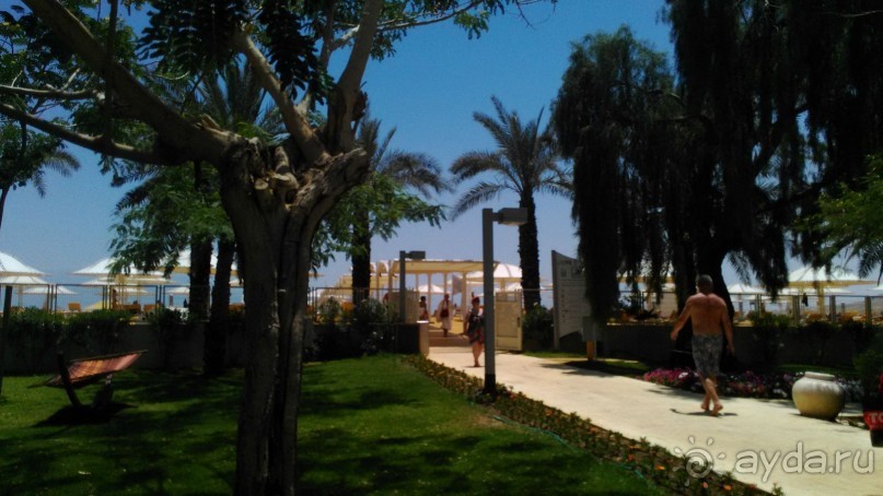 День отдыха на Мёртвом море в отеле LOT 4*