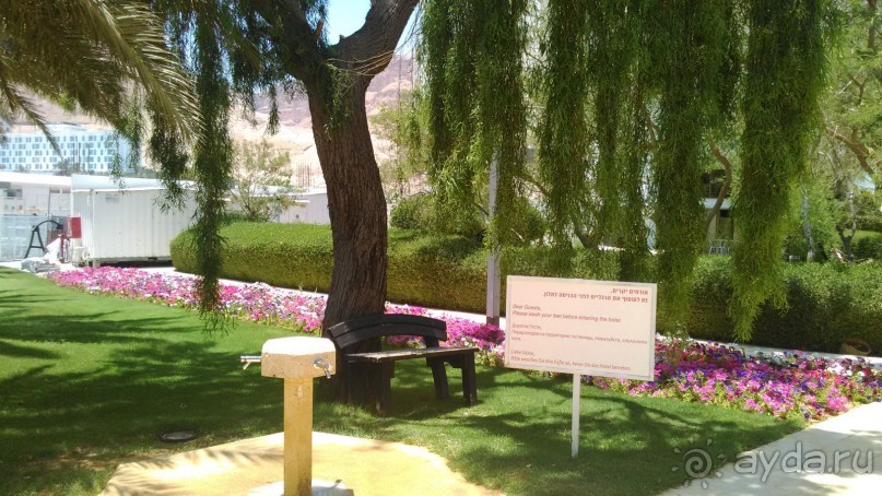 День отдыха на Мёртвом море в отеле LOT 4*