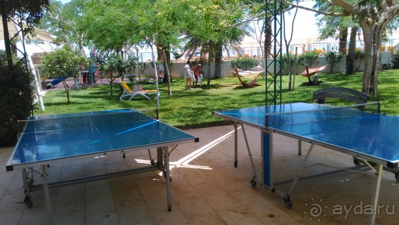 День отдыха на Мёртвом море в отеле LOT 4*