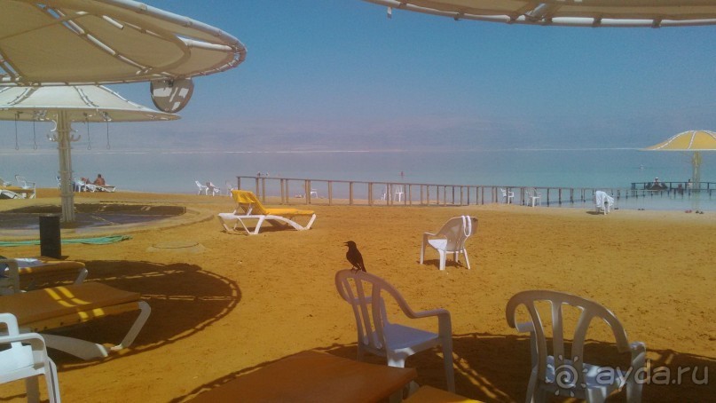 День отдыха на Мёртвом море в отеле LOT 4*