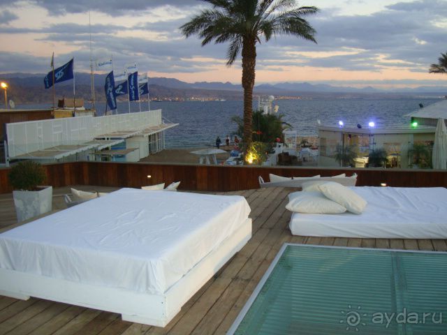 Отель Reef в Эйлате