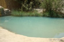 Оазис в пустыне