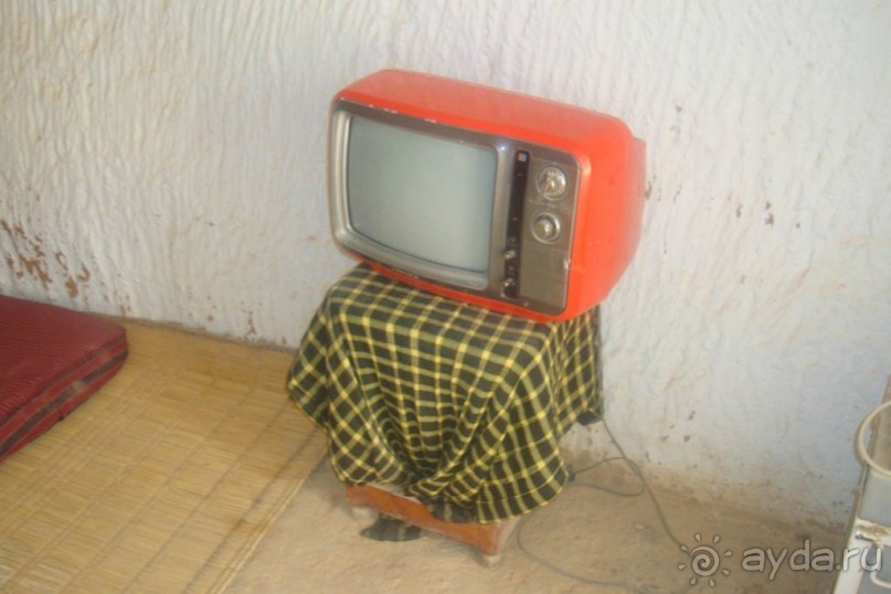 У троглодитов