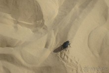 Катание на джипах