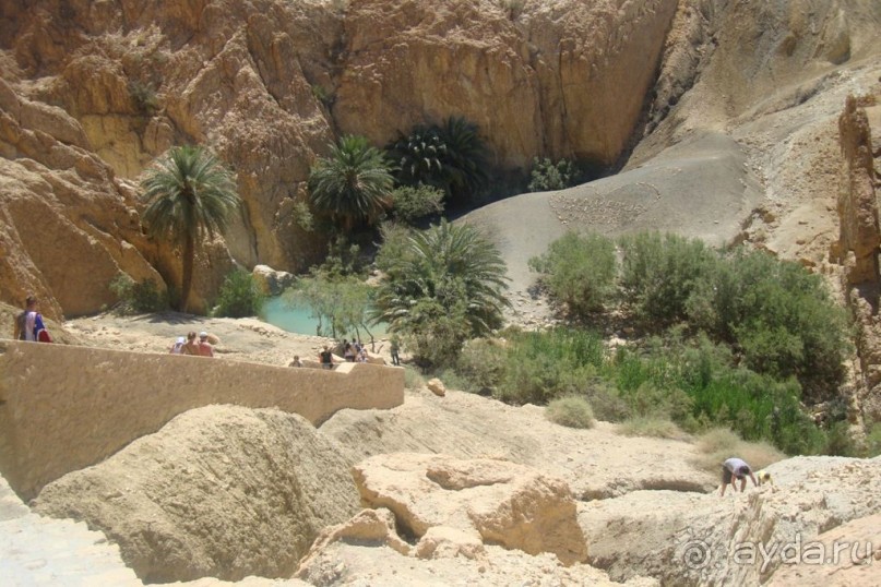 Оазис в пустыне