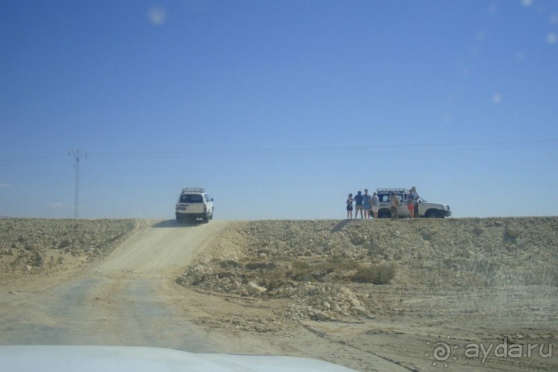 Оазис в пустыне