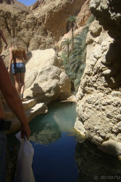 Оазис в пустыне