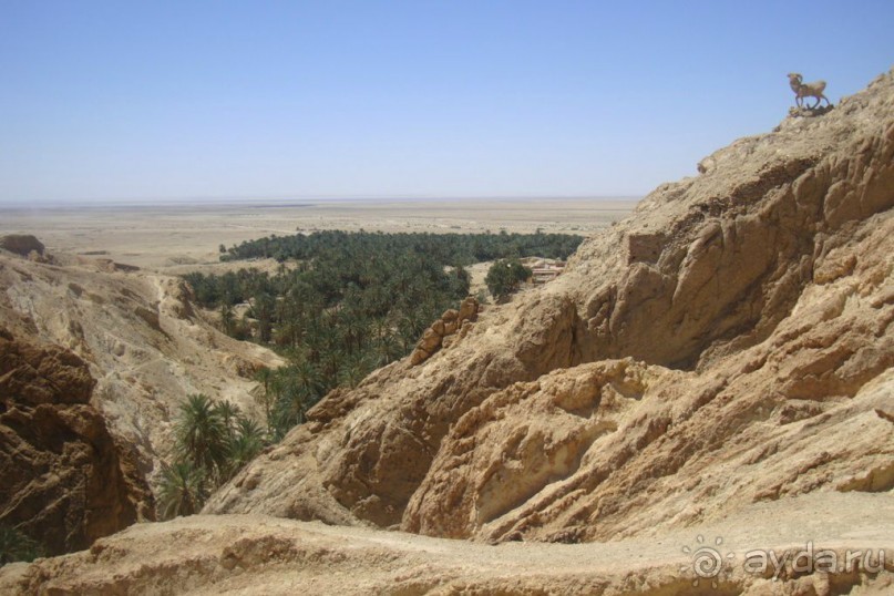 Оазис в пустыне