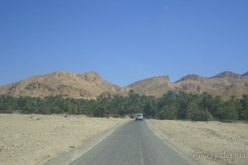 Оазис в пустыне