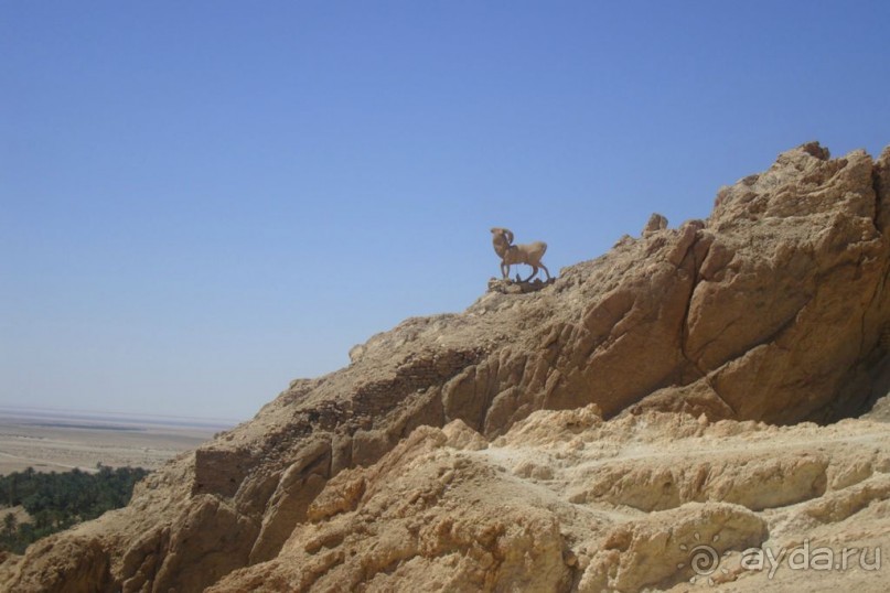 Оазис в пустыне