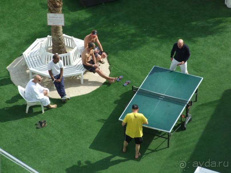 Настольный теннис на территории