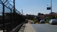 фото Maywood