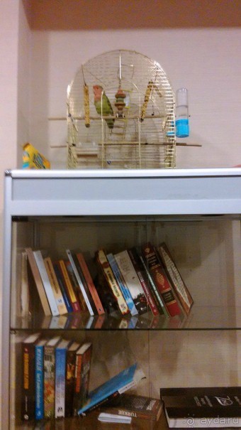 Maywood - достойный отель в Стамбуле