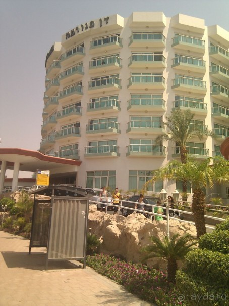 фото Dan Panorama