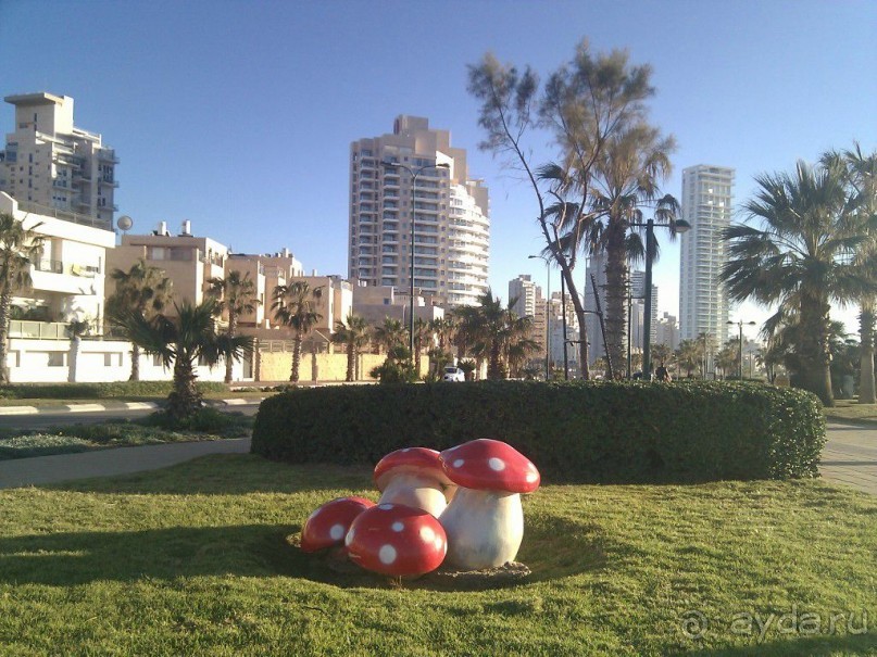 Мемориал Победы в Нетании