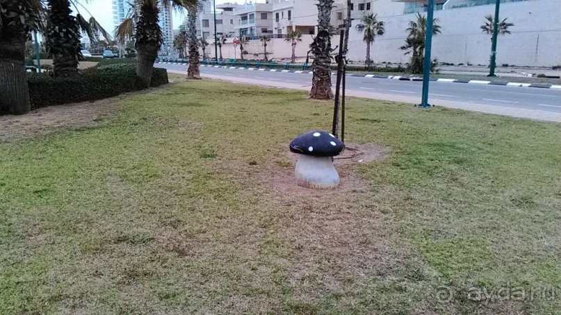 Мемориал Победы в Нетании