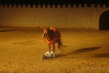 Фольклорное шоу Zin Bledi