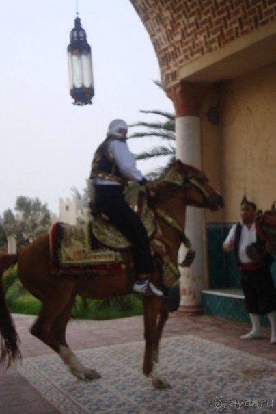 Фольклорное шоу Zin Bledi