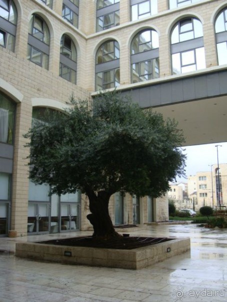 Достойный отель для проживания в Иерусалиме