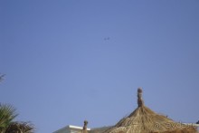 фото Royal Thalassa Monastir