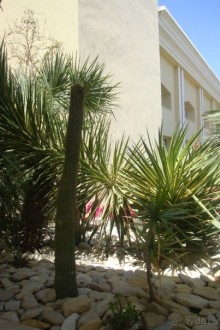 фото Royal Thalassa Monastir