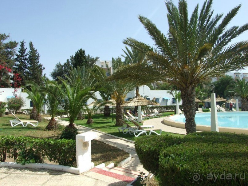 Территория