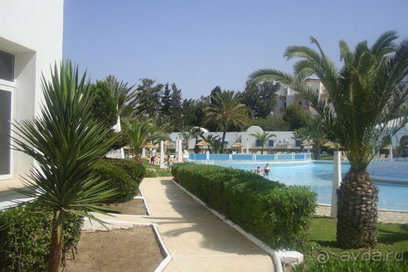 Территория (по дороге к бунгало)