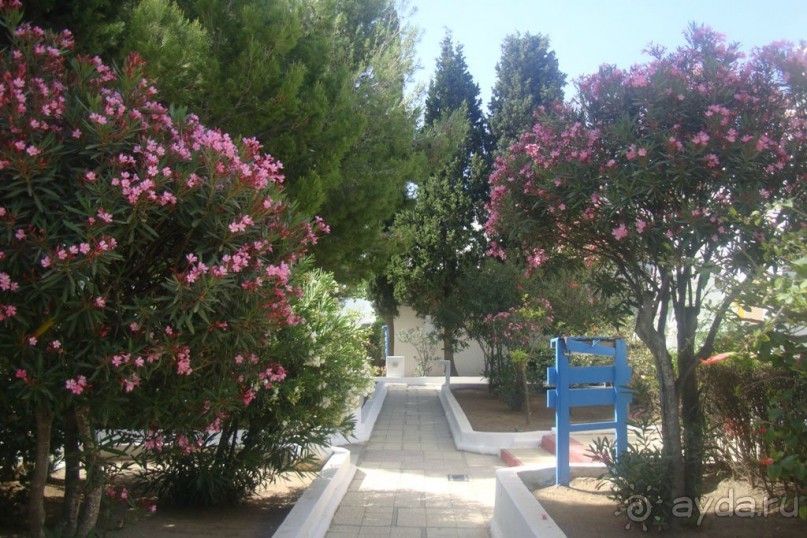 Территория