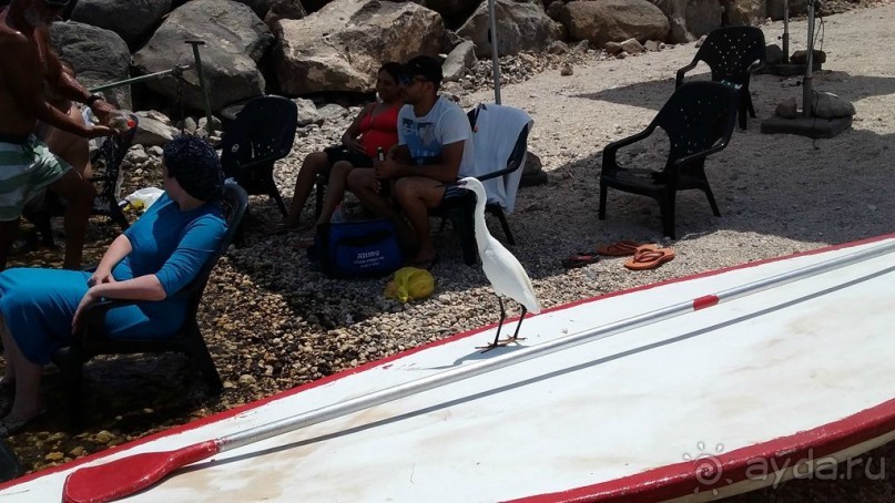 Элегантный отель U Boutique в Тверии