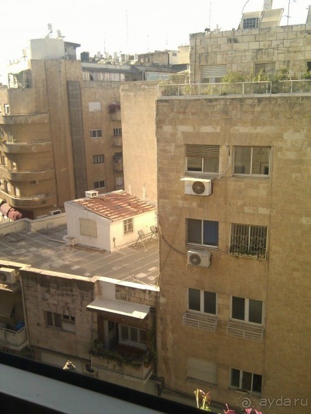 Вид из окна