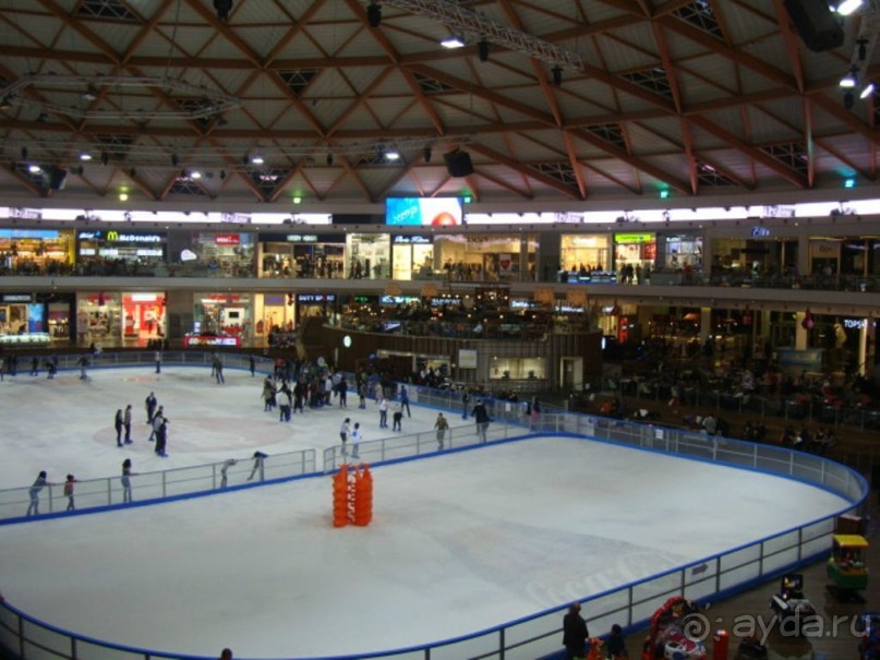 «Ледовый парк» в Эйлате