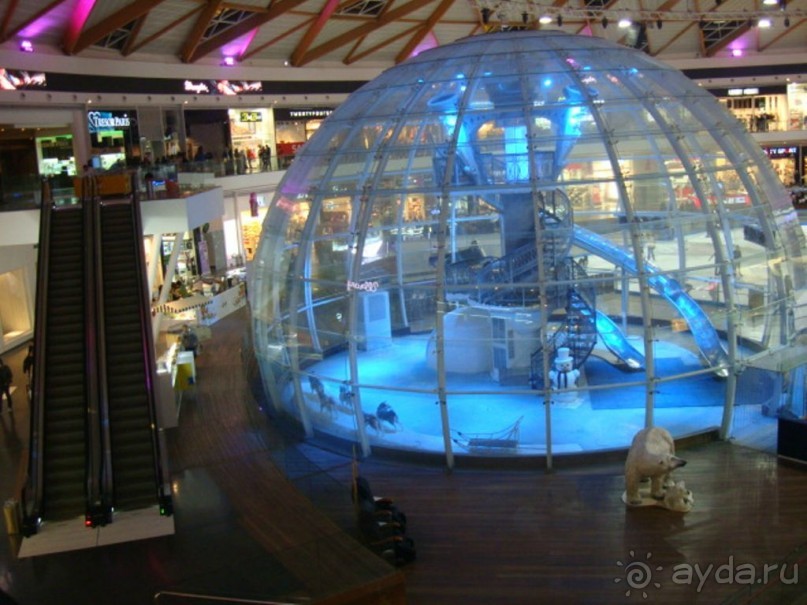 «Ледовый парк» в Эйлате