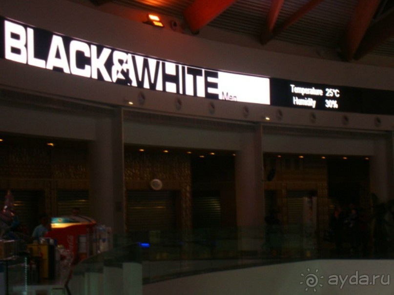 «Ледовый парк» в Эйлате