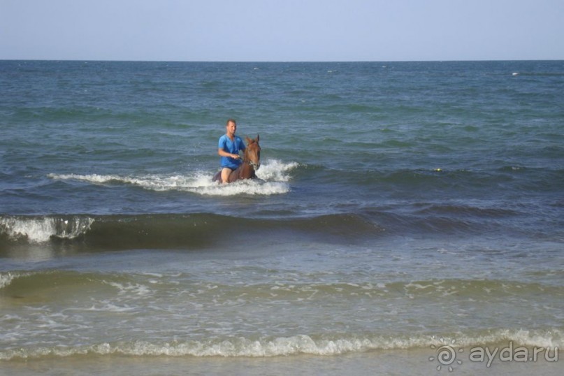 Отель для невзыскательных людей