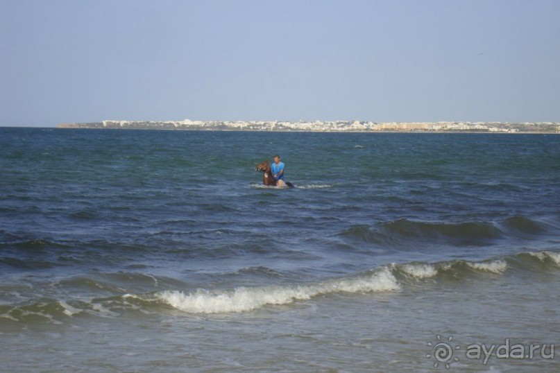 Отель для невзыскательных людей