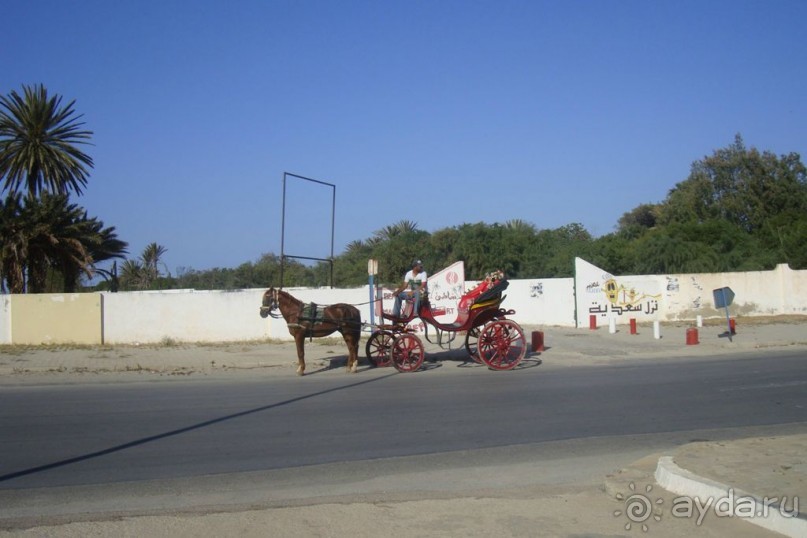 Пляж находится через дорогу от отеля