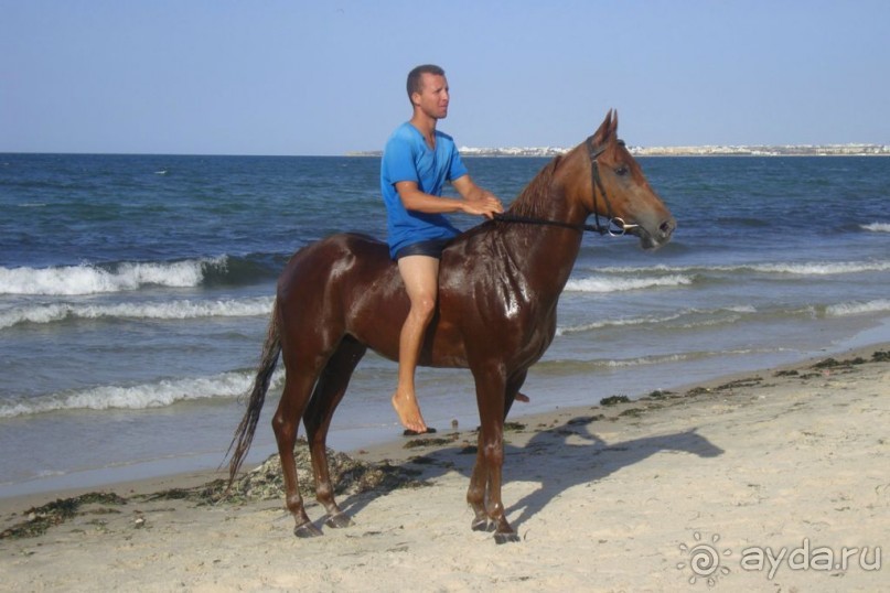 Отель для невзыскательных людей