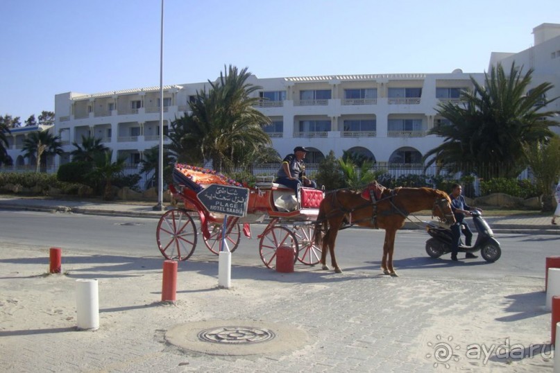 Отель для невзыскательных людей