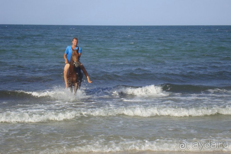 Отель для невзыскательных людей