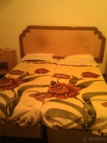 Отель Palace Hotel (Нетания)