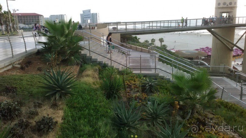 Пляж в Герцлии