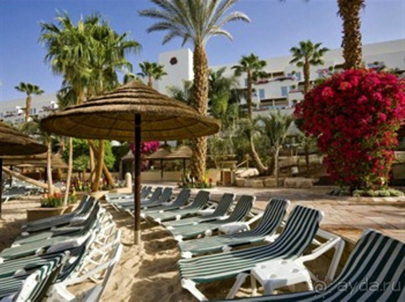 фото Isrotel Royal Garden