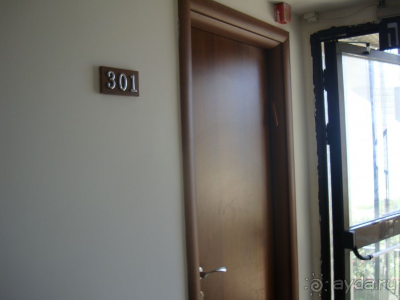 Отель бюджетный, но приличный