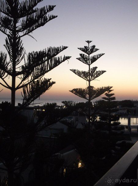 фото Mitsis Rinela Beach Resort & Spa